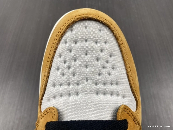 High Gore-Tex Light 1 Jordan Element Curry DB2889-700 0629
